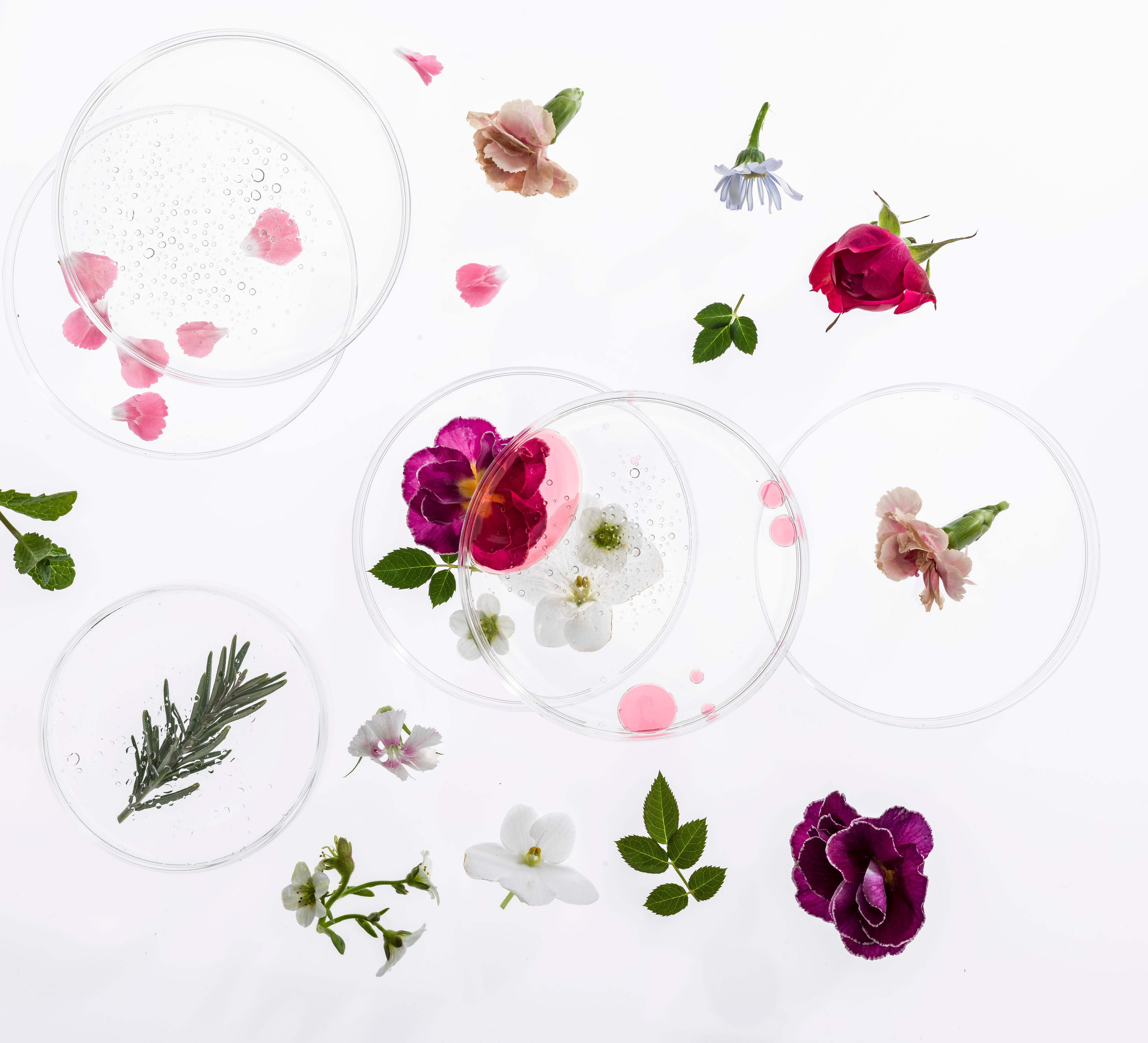 Nježno vlasište – zašto je bitnije nego ikad i kako ga pravilno njegovati