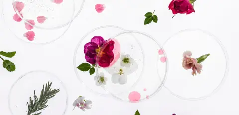 Nježno vlasište – zašto je bitnije nego ikad i kako ga pravilno njegovati